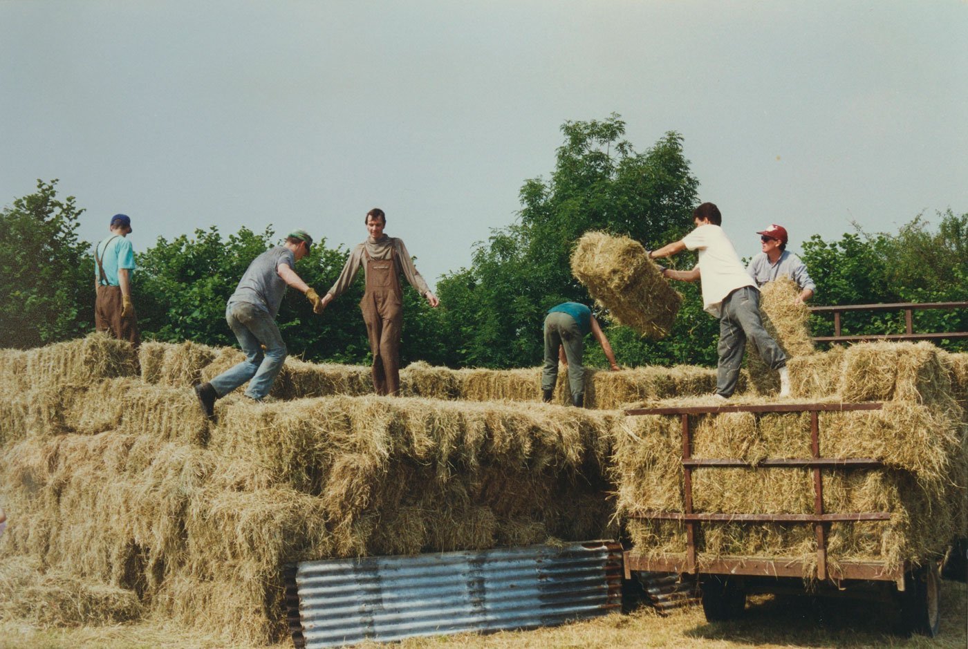 6 men working in the fields to bring in the hay at Skanda Vale