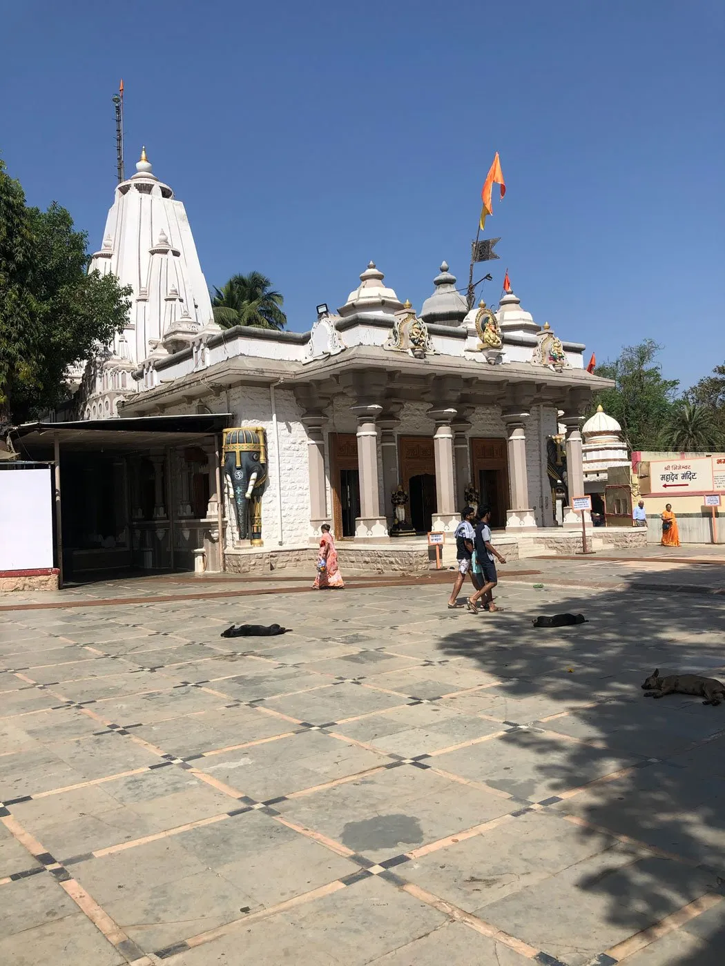 The Samadhi of Nityananda
