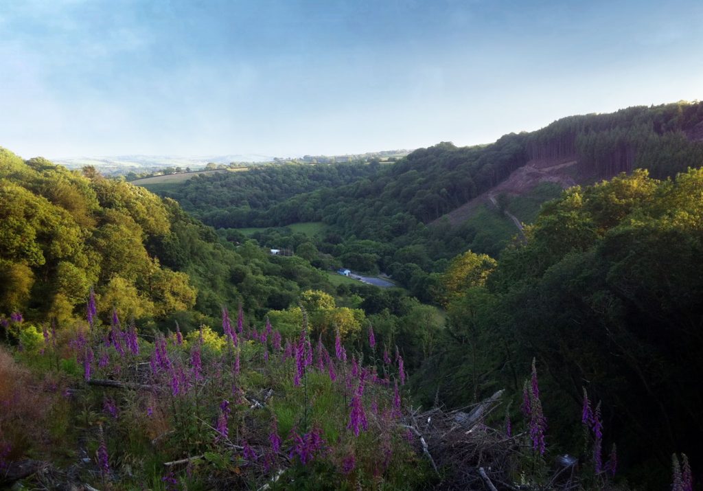Woodland valley view of Skanda Vale Ashram