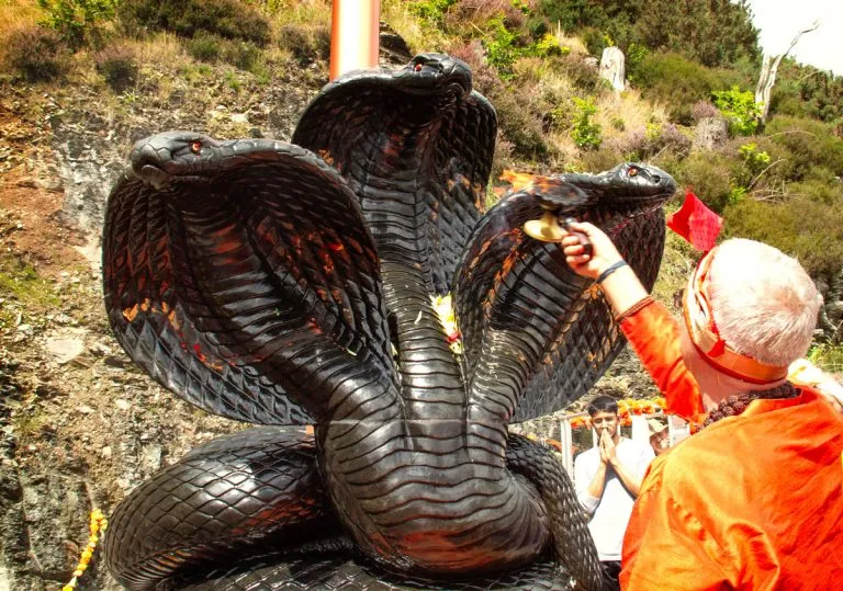 Swami offers aarthi to a large three headed naag or snake